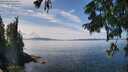 ./images/koeye/fitz-hugh/20250820/fitz-hugh20250820_132513M.jpg