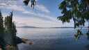 ./images/koeye/fitz-hugh/20250820/fitz-hugh20250820_133011M.jpg