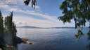 ./images/koeye/fitz-hugh/20250820/fitz-hugh20250820_133511M.jpg