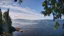 ./images/koeye/fitz-hugh/20250820/fitz-hugh20250820_134510M.jpg