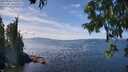 ./images/koeye/fitz-hugh/20250820/fitz-hugh20250820_135509M.jpg