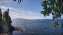 ./images/koeye/fitz-hugh/20250820/fitz-hugh20250820_140508M.jpg