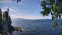 ./images/koeye/fitz-hugh/20250820/fitz-hugh20250820_142011M.jpg