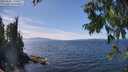 ./images/koeye/fitz-hugh/20250820/fitz-hugh20250820_142514M.jpg