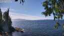 ./images/koeye/fitz-hugh/20250820/fitz-hugh20250820_143011M.jpg