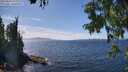 ./images/koeye/fitz-hugh/20250820/fitz-hugh20250820_143510M.jpg