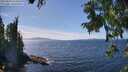 ./images/koeye/fitz-hugh/20250820/fitz-hugh20250820_144510M.jpg