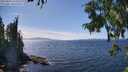 ./images/koeye/fitz-hugh/20250820/fitz-hugh20250820_145010M.jpg