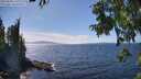 ./images/koeye/fitz-hugh/20250820/fitz-hugh20250820_150012M.jpg