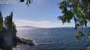 ./images/koeye/fitz-hugh/20250820/fitz-hugh20250820_151010M.jpg