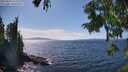 ./images/koeye/fitz-hugh/20250820/fitz-hugh20250820_151511M.jpg