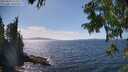 ./images/koeye/fitz-hugh/20250820/fitz-hugh20250820_152514M.jpg