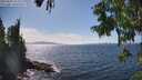 ./images/koeye/fitz-hugh/20250820/fitz-hugh20250820_153012M.jpg