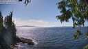 ./images/koeye/fitz-hugh/20250820/fitz-hugh20250820_153509M.jpg