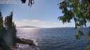 ./images/koeye/fitz-hugh/20250820/fitz-hugh20250820_154011M.jpg