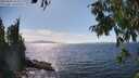 ./images/koeye/fitz-hugh/20250820/fitz-hugh20250820_154509M.jpg