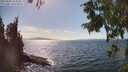 ./images/koeye/fitz-hugh/20250820/fitz-hugh20250820_155010M.jpg