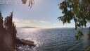 ./images/koeye/fitz-hugh/20250820/fitz-hugh20250820_155508M.jpg
