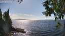 ./images/koeye/fitz-hugh/20250820/fitz-hugh20250820_160011M.jpg