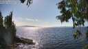 ./images/koeye/fitz-hugh/20250820/fitz-hugh20250820_160510M.jpg
