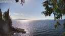 ./images/koeye/fitz-hugh/20250820/fitz-hugh20250820_161009M.jpg