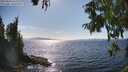 ./images/koeye/fitz-hugh/20250820/fitz-hugh20250820_161510M.jpg