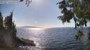 ./images/koeye/fitz-hugh/20250820/fitz-hugh20250820_162011M.jpg