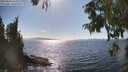 ./images/koeye/fitz-hugh/20250820/fitz-hugh20250820_162514M.jpg