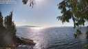 ./images/koeye/fitz-hugh/20250820/fitz-hugh20250820_163011M.jpg
