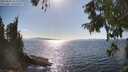 ./images/koeye/fitz-hugh/20250820/fitz-hugh20250820_163511M.jpg