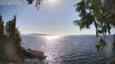 ./images/koeye/fitz-hugh/20250820/fitz-hugh20250820_164011M.jpg