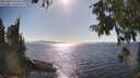 ./images/koeye/fitz-hugh/20250820/fitz-hugh20250820_164511M.jpg