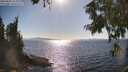 ./images/koeye/fitz-hugh/20250820/fitz-hugh20250820_165012M.jpg
