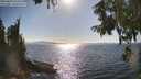 ./images/koeye/fitz-hugh/20250820/fitz-hugh20250820_165510M.jpg