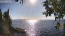 ./images/koeye/fitz-hugh/20250820/fitz-hugh20250820_170510M.jpg