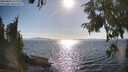 ./images/koeye/fitz-hugh/20250820/fitz-hugh20250820_172011M.jpg