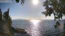 ./images/koeye/fitz-hugh/20250820/fitz-hugh20250820_172513M.jpg