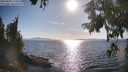 ./images/koeye/fitz-hugh/20250820/fitz-hugh20250820_173508M.jpg