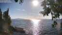 ./images/koeye/fitz-hugh/20250820/fitz-hugh20250820_174009M.jpg