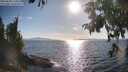 ./images/koeye/fitz-hugh/20250820/fitz-hugh20250820_174511M.jpg