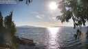 ./images/koeye/fitz-hugh/20250820/fitz-hugh20250820_175510M.jpg