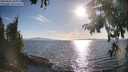 ./images/koeye/fitz-hugh/20250820/fitz-hugh20250820_181012M.jpg