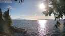 ./images/koeye/fitz-hugh/20250820/fitz-hugh20250820_181511M.jpg