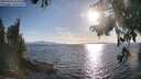 ./images/koeye/fitz-hugh/20250820/fitz-hugh20250820_182512M.jpg