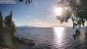 ./images/koeye/fitz-hugh/20250820/fitz-hugh20250820_183012M.jpg