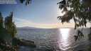 ./images/koeye/fitz-hugh/20250820/fitz-hugh20250820_184510M.jpg