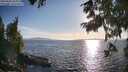 ./images/koeye/fitz-hugh/20250820/fitz-hugh20250820_185011M.jpg