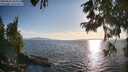 ./images/koeye/fitz-hugh/20250820/fitz-hugh20250820_190009M.jpg