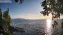 ./images/koeye/fitz-hugh/20250820/fitz-hugh20250820_192009M.jpg
