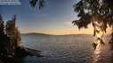 ./images/koeye/fitz-hugh/20250820/fitz-hugh20250820_201010M.jpg